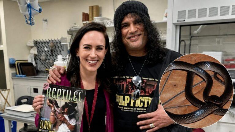 Bem-vindo à selva: nova espécie de cobra é batizada em homenagem a Slash, do Guns N’ Roses