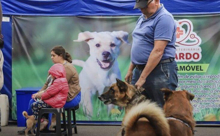 Prefeitura de Curitiba abre 4 mil vagas para castração gratuita de cães e gatos. Veja as datas e endereços